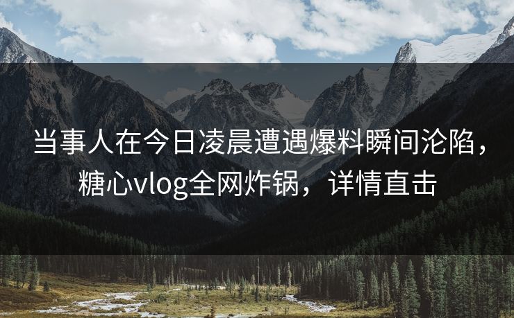 当事人在今日凌晨遭遇爆料瞬间沦陷,糖心vlog全网炸锅,详情直击